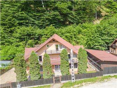 Casa vila deosebita in Dambul Morii, Sacele, Brasov